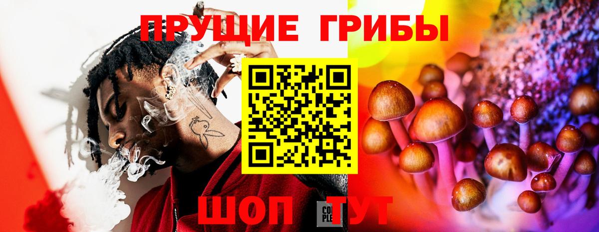 Галлюциногенные грибы прущие грибы Заводоуковск